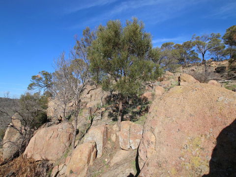 Eldorado And The Woolshed Valley - Grafton Accommodation 2