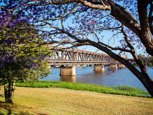 Grafton 'Bendy' Bridge