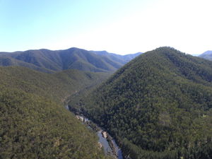 Guy Fawkes River National Park