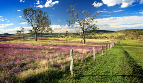 Hodgson Vale - Grafton Accommodation 1