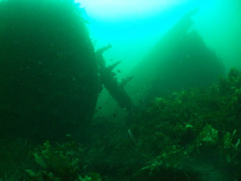 Investigator Strait Shipwreck Trail - Grafton Accommodation 0