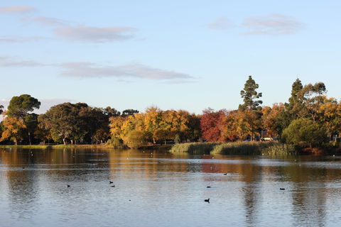 Lake Weeroona - Grafton Accommodation 0