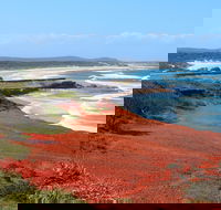 Red Cliff - Grafton Accommodation
