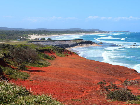 Red Cliff - Grafton Accommodation 0