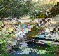 Rockhampton Botanic Gardens - Grafton Accommodation