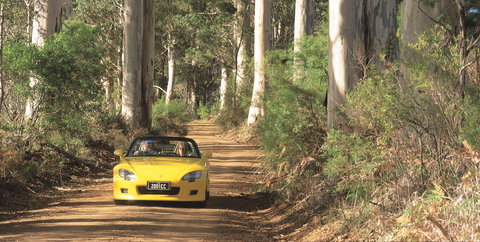 Scotsdale Tourist Drive - Grafton Accommodation 0