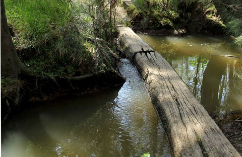 Second Ponds Creek Walk - Grafton Accommodation 0