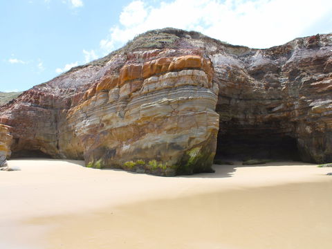 Shelley Caves - Grafton Accommodation 0
