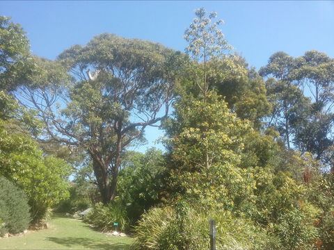 Shoalhaven Heads Native Botanic Garden - Grafton Accommodation 1