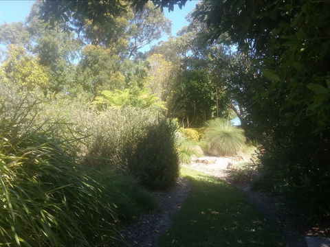 Shoalhaven Heads Native Botanic Garden - Grafton Accommodation 2