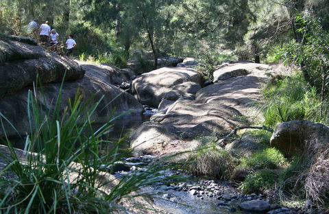 Towarri National Park - Grafton Accommodation 0
