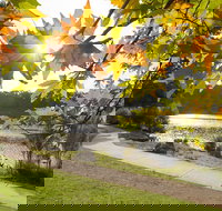 Wentworth Falls Lake - Grafton Accommodation