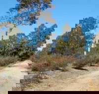 Werakata National Park - Grafton Accommodation