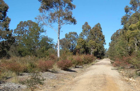 Werakata National Park - Grafton Accommodation 0