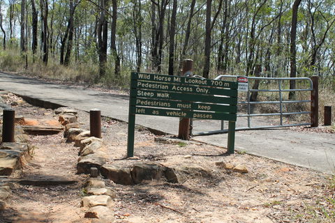 Wild Horse Mountain Lookout - Grafton Accommodation 1