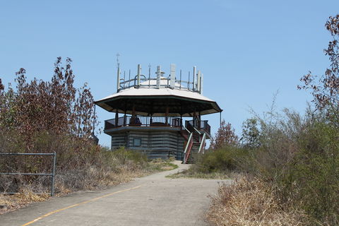 Wild Horse Mountain Lookout - Grafton Accommodation 2