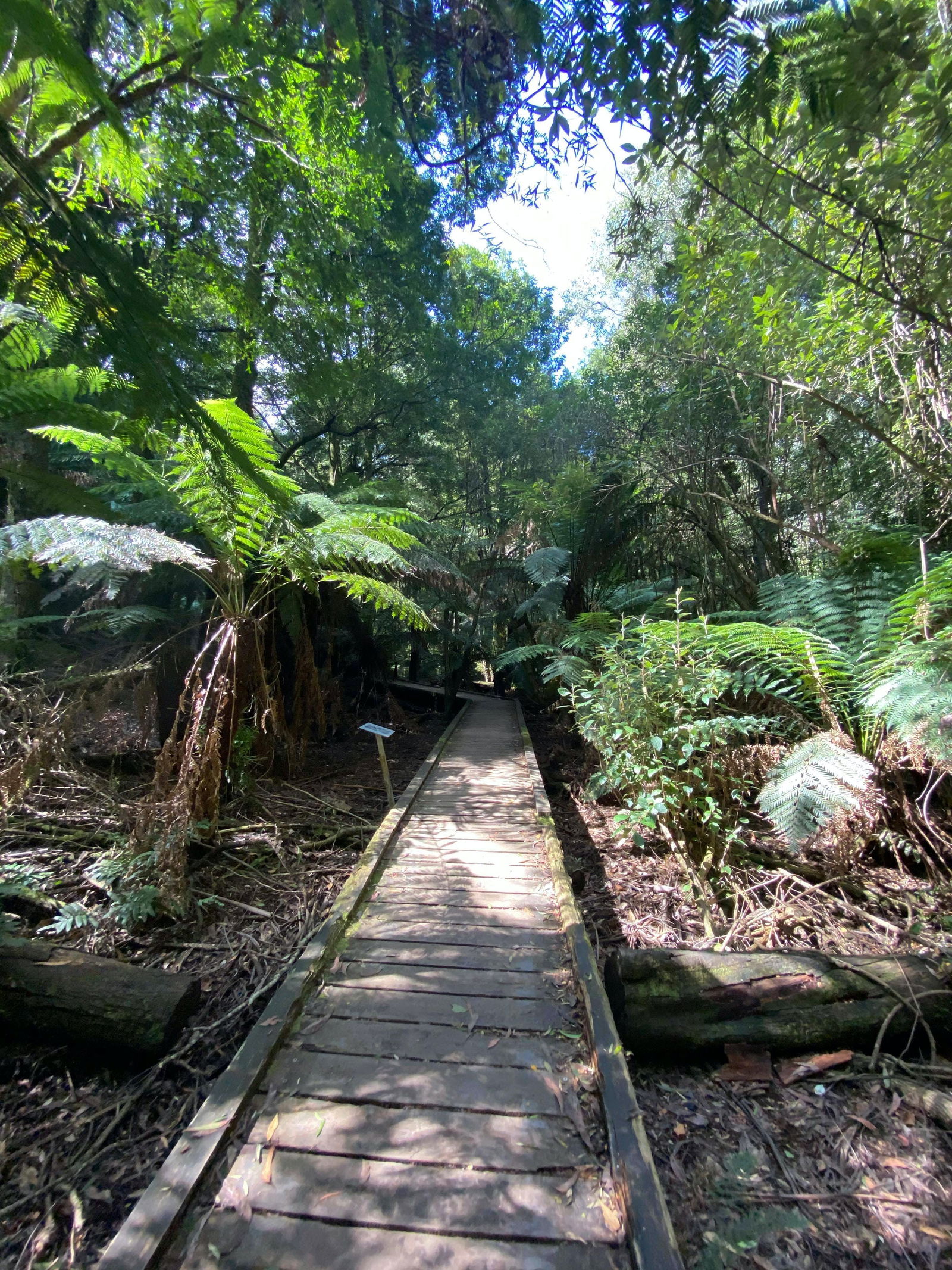 Toolangi VIC Grafton Accommodation