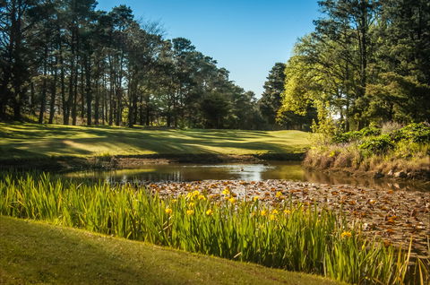 Yowani Country Club Incorporated - Grafton Accommodation 2