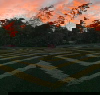 Bellingham Maze - Grafton Accommodation