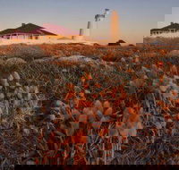 Cape Willoughby Heritage Trail - Grafton Accommodation