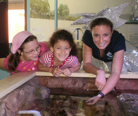 Central Coast Marine Discovery Centre - Grafton Accommodation 0