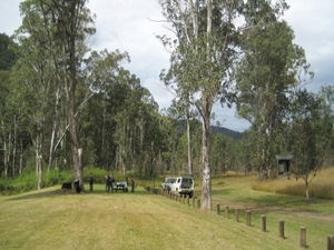 Chaelundi National Park
