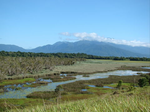 Eubenangee Swamp National Park - Grafton Accommodation 0