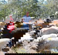 Haigslea EWE Nique Hobby Farm - Grafton Accommodation