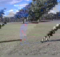 Inverell Golf Club - Grafton Accommodation