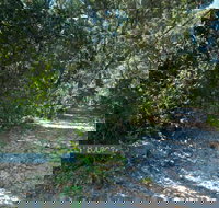 Lillypilly loop trail