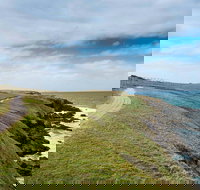 Look At Me Now Headland Walk