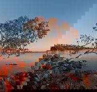 Peery Lake - Grafton Accommodation