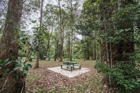 Rocksberg Park Heritage Reserve - Grafton Accommodation 1