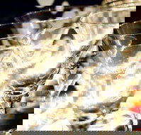 Rushworth - Grafton Accommodation