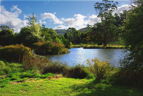 Tasmanian Arboretum Inc. - The - Grafton Accommodation 0