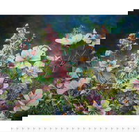 The Homestead Gallery - Grafton Accommodation