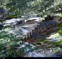 Washpools waterhole - Grafton Accommodation