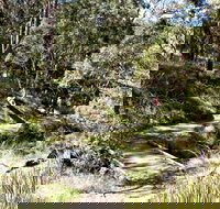 Wollomombi Walking Track - Grafton Accommodation