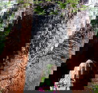 Ancient Empire Walk Valley of the Giants - Grafton Accommodation