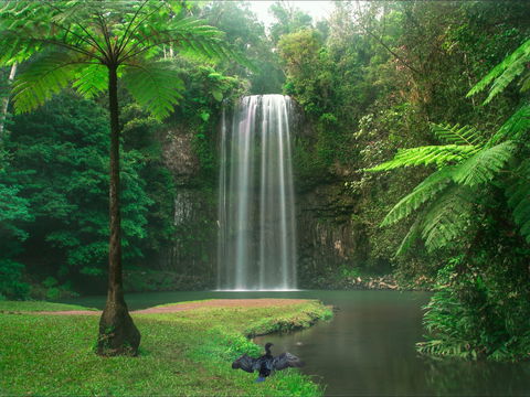Atherton Tablelands - Grafton Accommodation 0