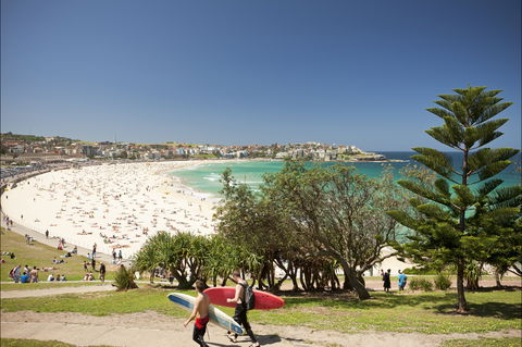 Bondi To Coogee Coastal Walk - Grafton Accommodation 0