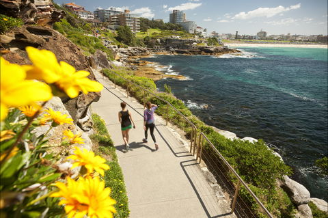 Bondi To Coogee Coastal Walk - Grafton Accommodation 2