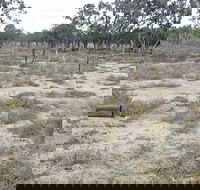 Culgoa Connellys Track - Grafton Accommodation