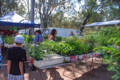 Fernvale Country Markets - Grafton Accommodation 0
