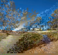 Freshwater Creek Track Byfield National Park - Grafton Accommodation