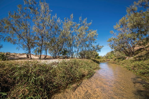 Freshwater Creek Track, Byfield National Park - Grafton Accommodation 0