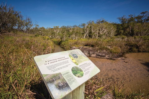 Freshwater Creek Track, Byfield National Park - Grafton Accommodation 1