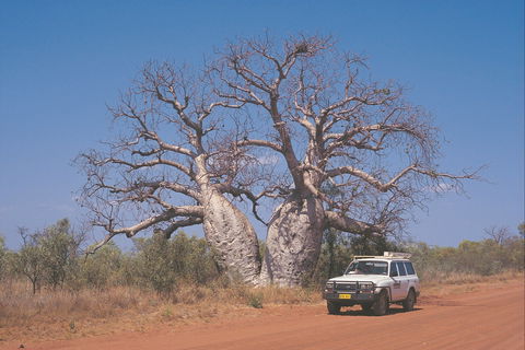 Gibb River Road - Grafton Accommodation 2