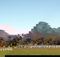 Grampians - Grafton Accommodation
