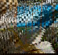 Gulaga Mountain Walk - Grafton Accommodation